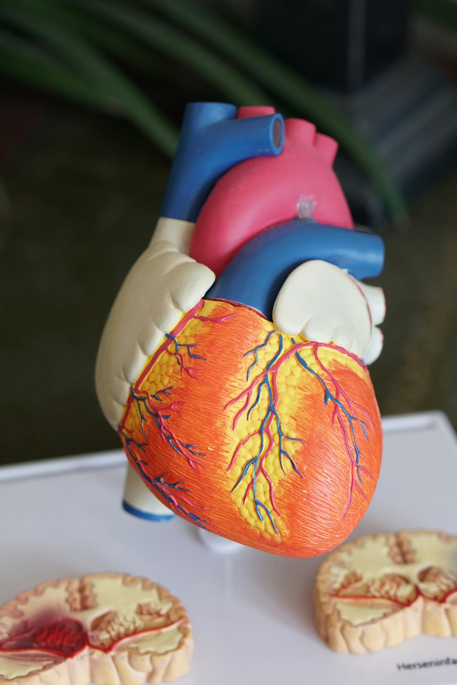Fatal Medical Negligence Claims