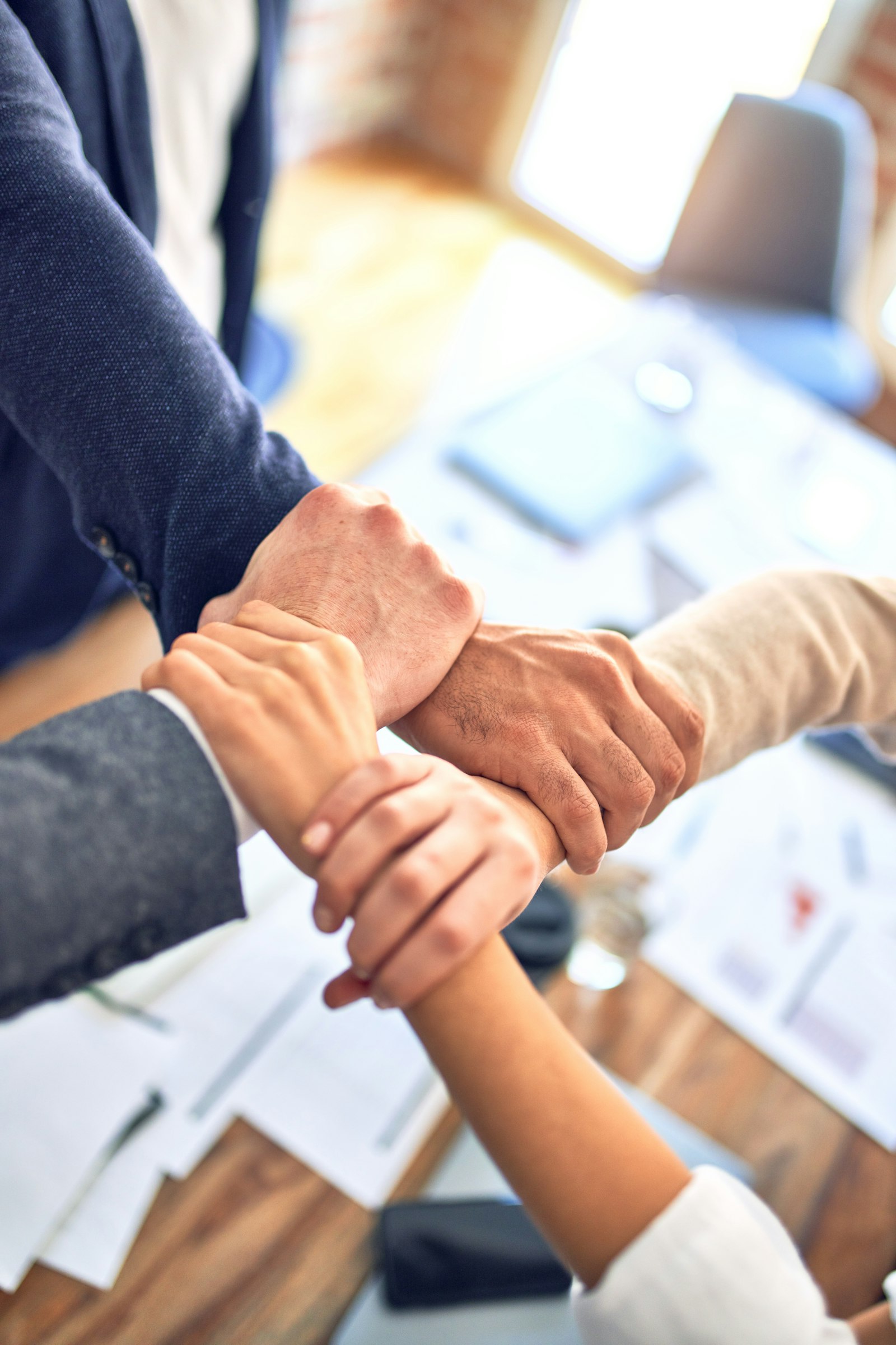Employment Law Services